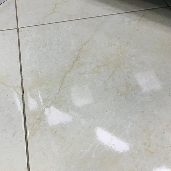 Плитка керамическая 45x45 глянцевая Vega ARGENTA Плитка керамическая 45x45 глянцевая Vega ARGENTA