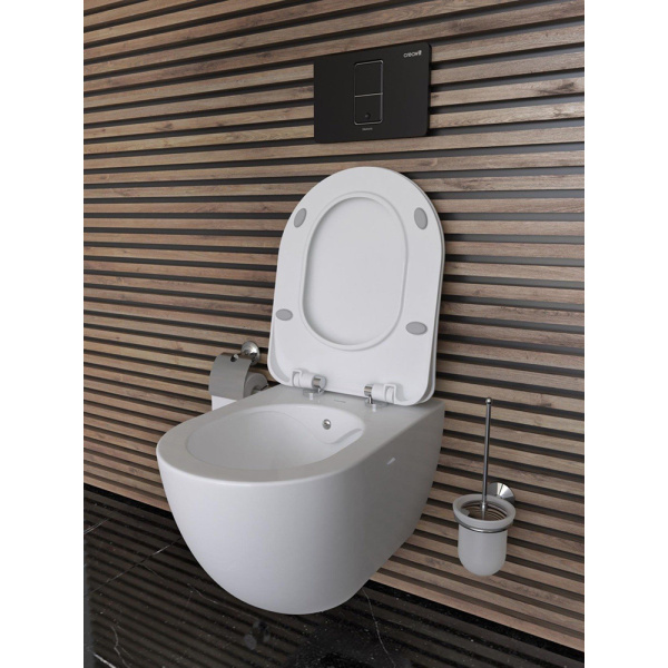 Унитаз подвесной Creavit Free FE322-00CB00E-0000 безободковый с биде  Унитаз подвесной Creavit Free FE322-00CB00E-0000 безободковый с биде